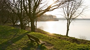 bench, lake, park, shore, trees