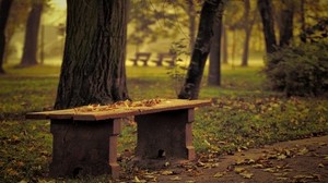 ベンチ、公園、葉、秋、木、孤独