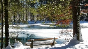 bench, spring, shore, lake, ice, melting, snow, trees
