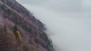 pendenza, collina, erba, nebbia