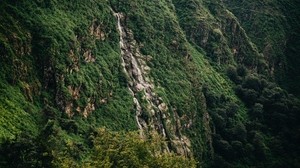 slope, cliff, trees, green, stones