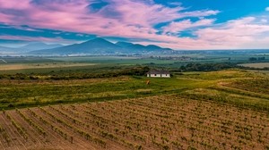 slovakia, vineyard, field, sky - wallpapers, picture