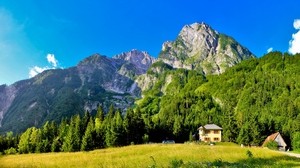 Slovenien, berg, hus, äng, grön, ljus, himmel, blå, klar