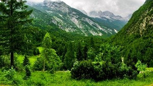 Slovenia, mountains, forest, trees, cloudy