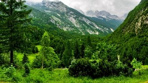 Slovenia, montagne, foreste, alberi, nuvoloso