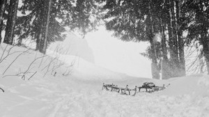 snow, trees, sleds, winter