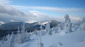 snow, Carpathians, mountain stig, trees, Ukraine, winter, Svidovets, Rakhiv region