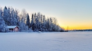 snow, field, trees, buildings