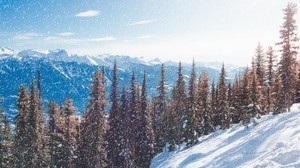 snow, slope, mountains, winter, trees, snowfall - wallpapers, picture