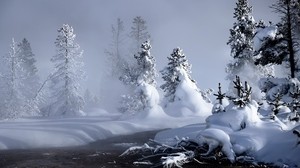 snow, water, fog, steam, ate, trees, river