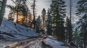 snow, winter, trees, road