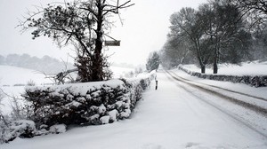 snow, winter, park, road, hedge