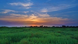 soleros, field, sunset, horizon, grass, sky, clouds