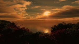 the sun, shore, bushes, evening, clouds, sea