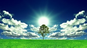 the sun, tree, glade - wallpapers, picture