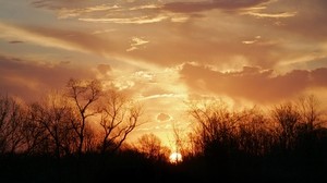 il sole, l’orizzonte, gli alberi, la sera