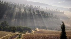 the sun, rays, fog, morning, field, hills