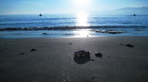 il sole, mare, luce, spiaggia, spiaggia, bagnato, granaglie, immondizia