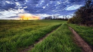 sun, light, rays, grass, field, road, traces, clouds, layer, evening, orange