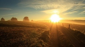 the sun, light, blinding, road, country, hedge