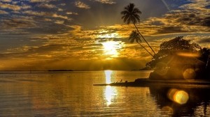 太阳，日落，镜头光晕，棕榈树，岛屿，平房