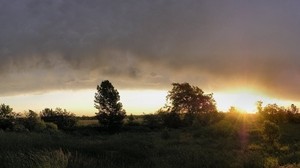 the sun, sunset, glade, trees, horizon, shape, gloom, evening