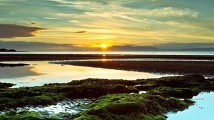 the sun, sunset, reefs, evening, moss, clouds, stains, horizon, line, patterns, low tide - wallpapers, picture