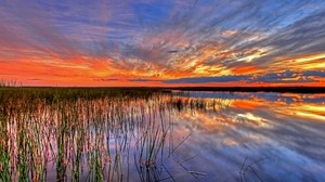 usa, everglades, swamp, florida - wallpapers, picture