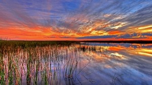 Estados Unidos, Everglades, pantano, Florida