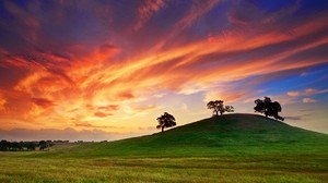 アメリカ、カリフォルニア、日没、春、5月、空、雲、フィールド、草、木