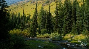 usa, washington, mt baker-snoqualmie national, skog, flod