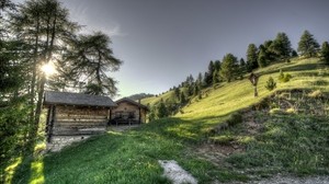 structure, grass, trees, hdr