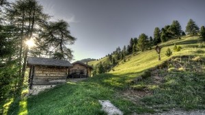 estructura, hierba, árboles, hdr