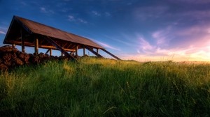structure, grass, greens, field, morning - wallpapers, picture