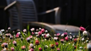 chair, grass, light