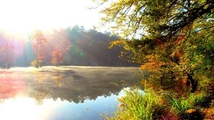light, sun, overflows, lake, forest, autumn, paints, colors, bright - wallpapers, picture