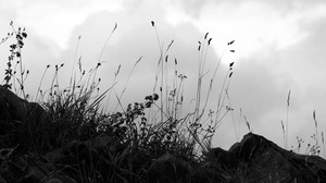 grass, stones, black and white (bw), hill, sky, clouds - wallpapers, picture