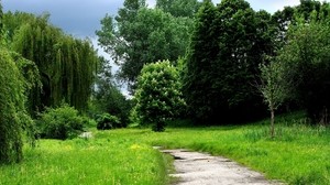 grass, forest, trees, trail