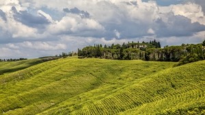 grass, field, hill - wallpapers, picture