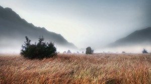 grass, dry, autumn, ate, fog, thick, haze, creepy, gloomy, mountains