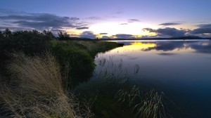 grass, dry, shore, evening - wallpapers, picture