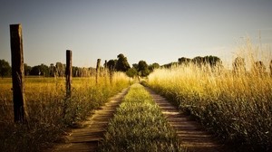 grass, trail, sky