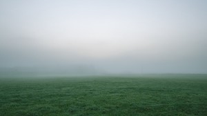 grass, fog, thick, impenetrable, field - wallpapers, picture