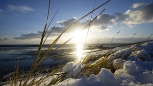 blade of grass, light, snow, sun, spring - wallpapers, picture