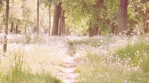 trail, trees, flowers