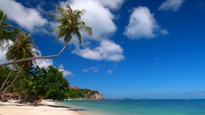tropics, sea, sand, palm trees