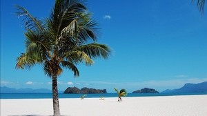 tropics, sea, sand, palm trees, summer