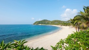 trópicos, la playa, palmeras, la orilla, el resto