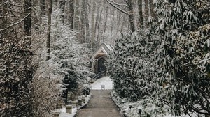 church, trees, winter, path, snowfall