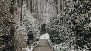 kyrka, träd, vinter, stig, snöfall